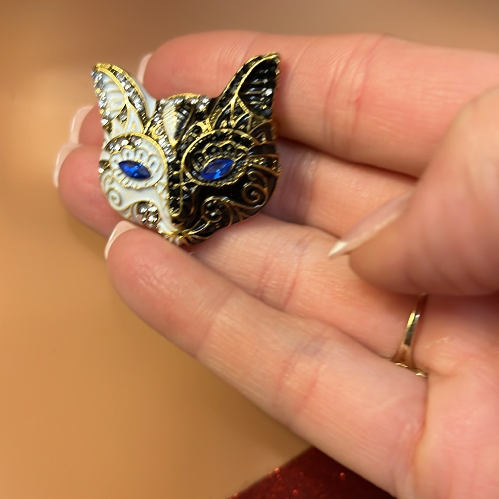 Masked Cat Brooch